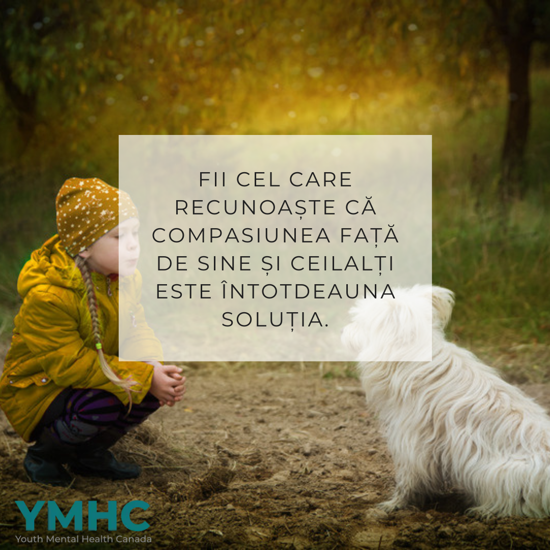 Carteles con lemas sobre salud mental en Rumanía (120 carteles)