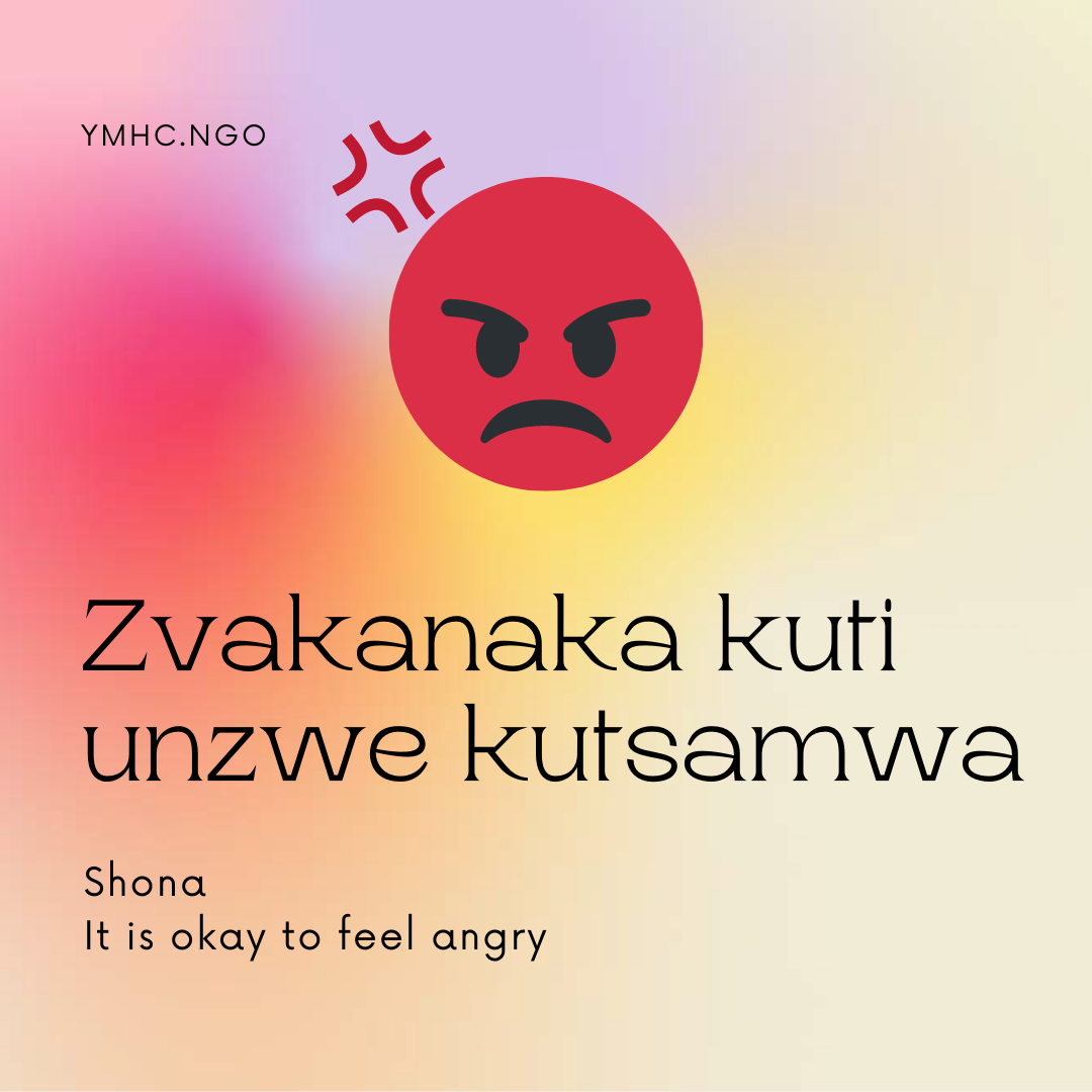 Carteles con lemas sobre salud mental en Shona (91 carteles)