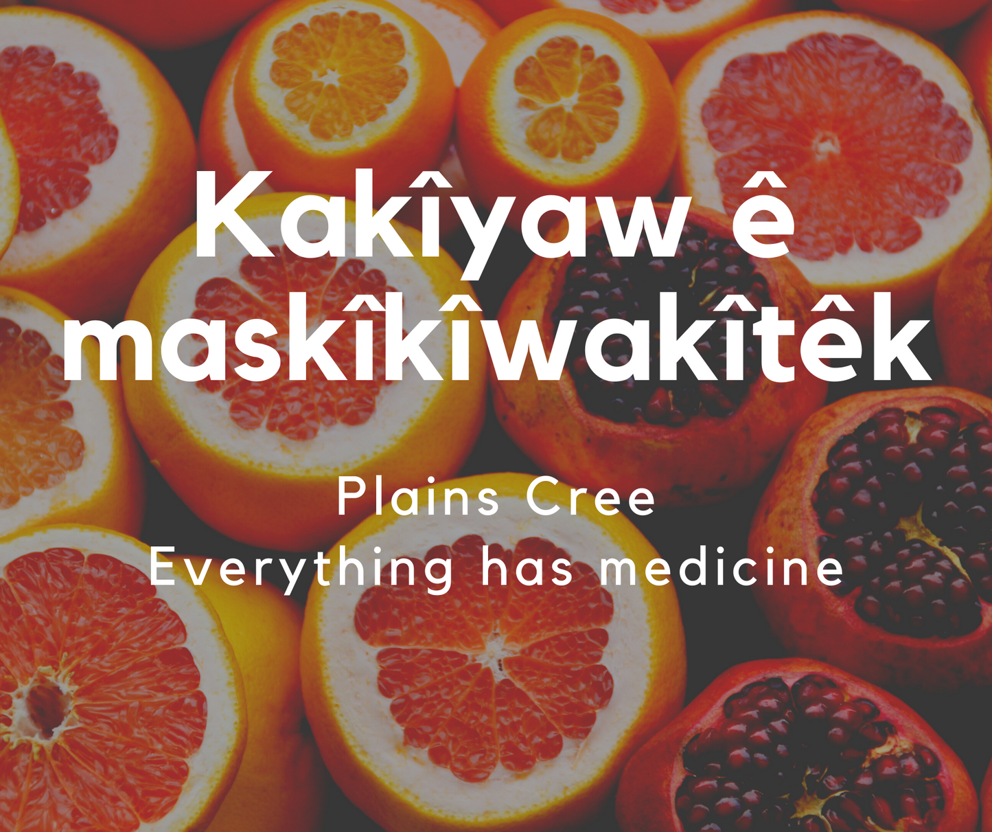 Plains Cree Mental Health Slogan Posters (144 carteles)